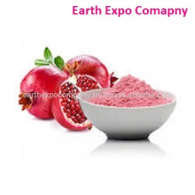 Manufacturer supply best pomegranate fruit extract powder